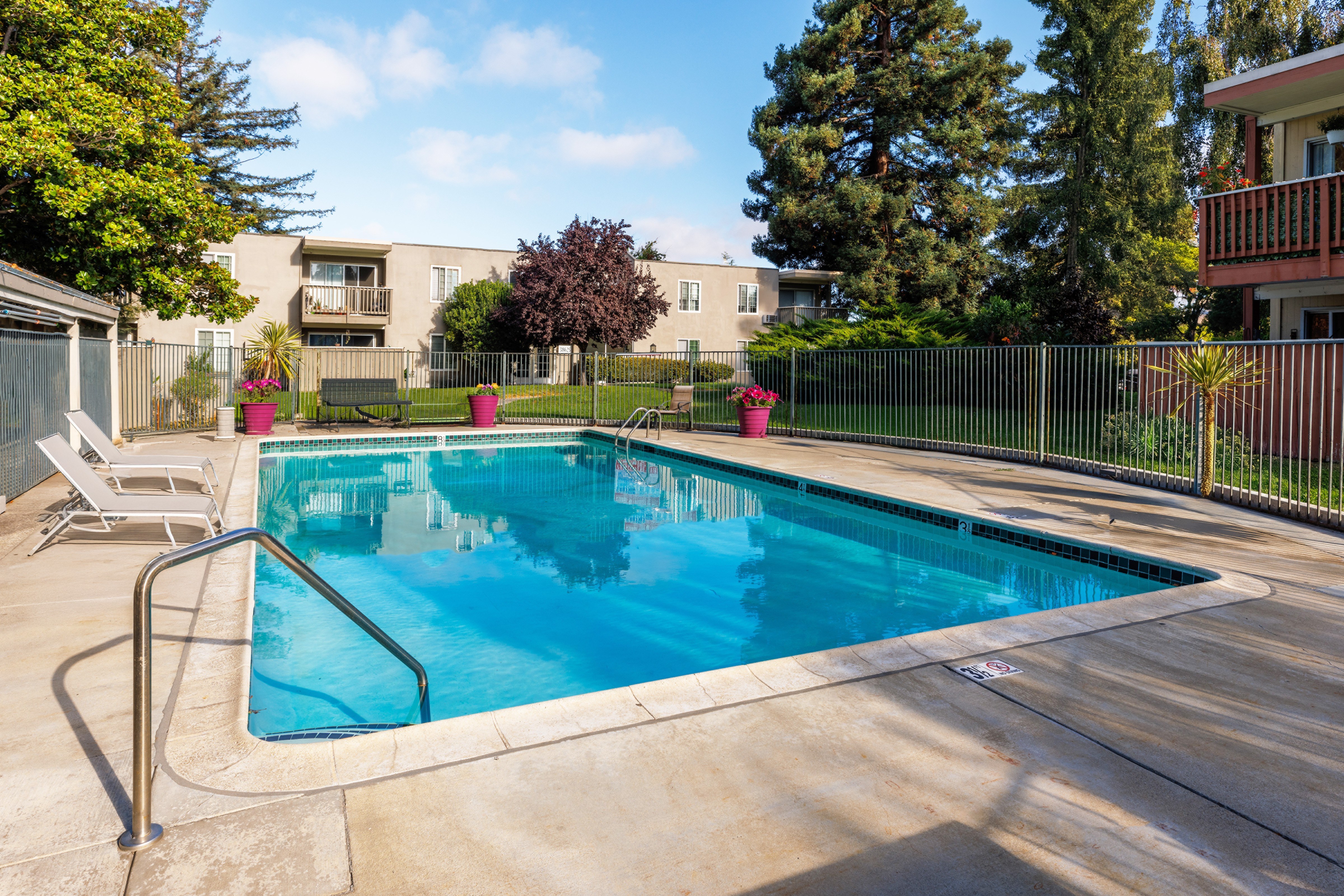 1BR/1BA Apartment on Paseo Padre Parkway · Fremont photo 4